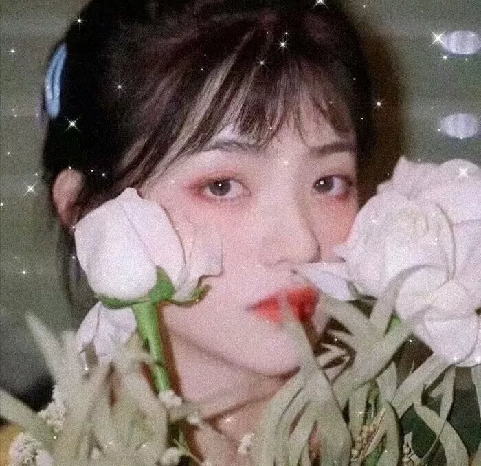 千星传说